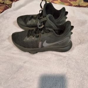 Nike Zoom Lebrons 2020